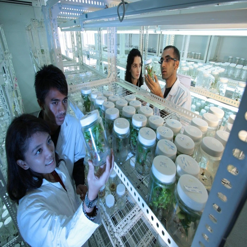 Image depicting students gaining practical pharmacy work experience, learning about the profession and career opportunities through test-taking and interview preparation.